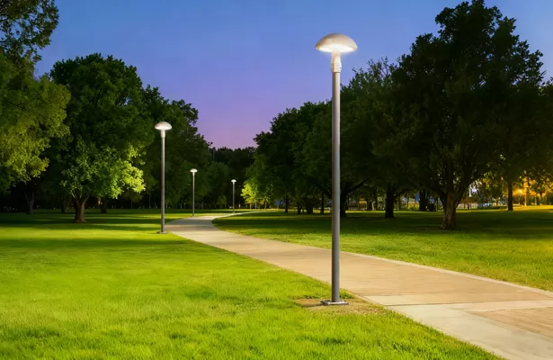 Iluminação do jardim & do parque