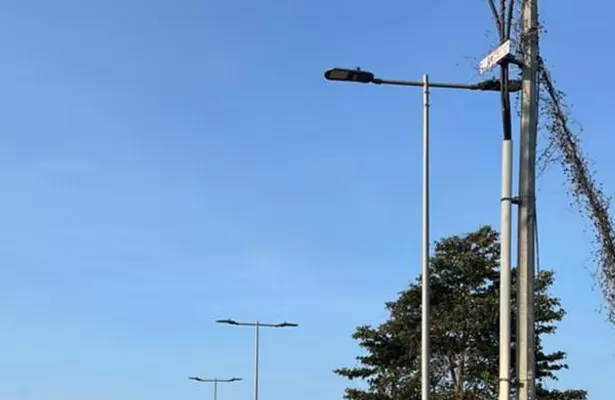 Caso de parceria de marca de longo prazo | Cooperação estratégica ODM / OEM em iluminação fotovoltaica inteligente